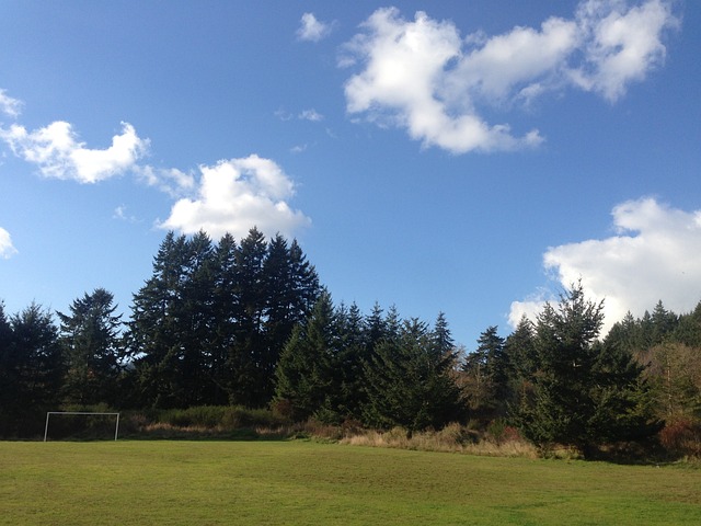 空间福登