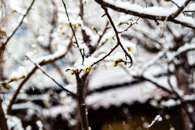 近悦远来·营城兴业丨逛营地、骑骏马！邛崃首家马术野骑营地开启乡村游玩新体验