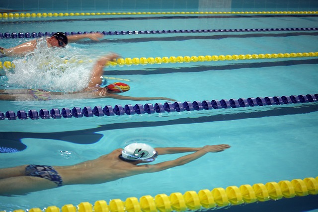 企业的社会 企业的社会