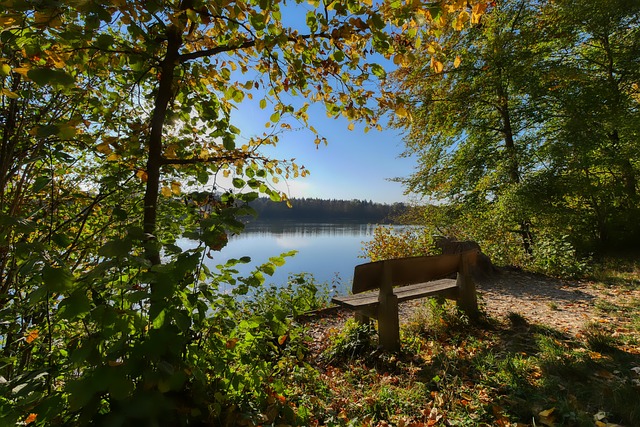 胜利一时 胜利一时