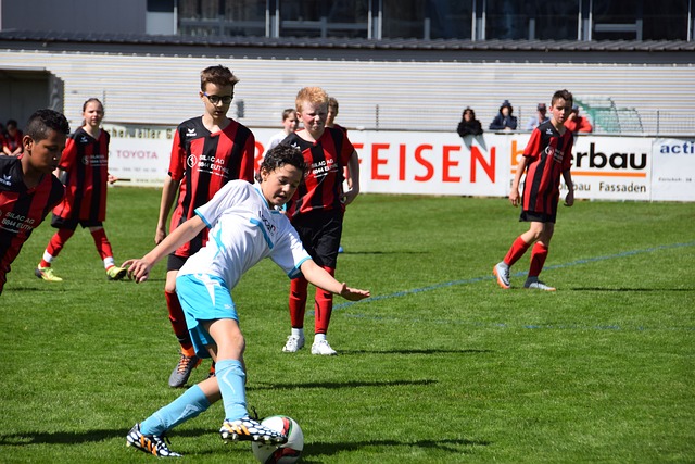 频平台合作 频平台合作