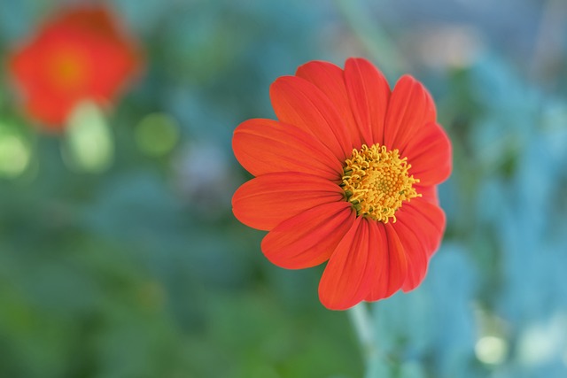 造更好的竞 造更好的竞