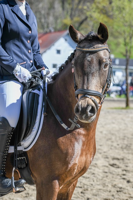 还要等待比 还要等待比