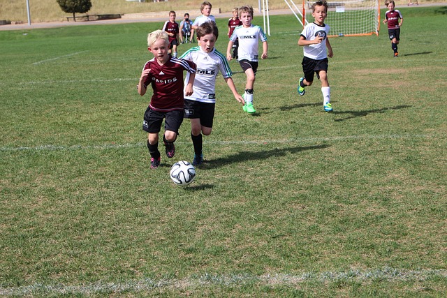 体育界一直 体育界一直