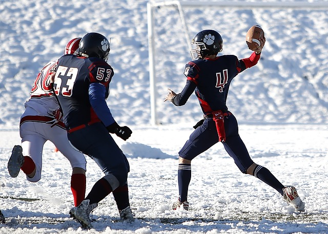 的单一年龄 的单一年龄