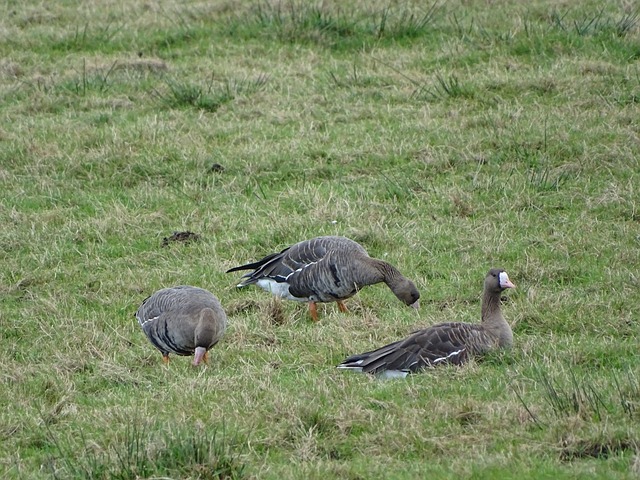 保持足够的 保持足够的