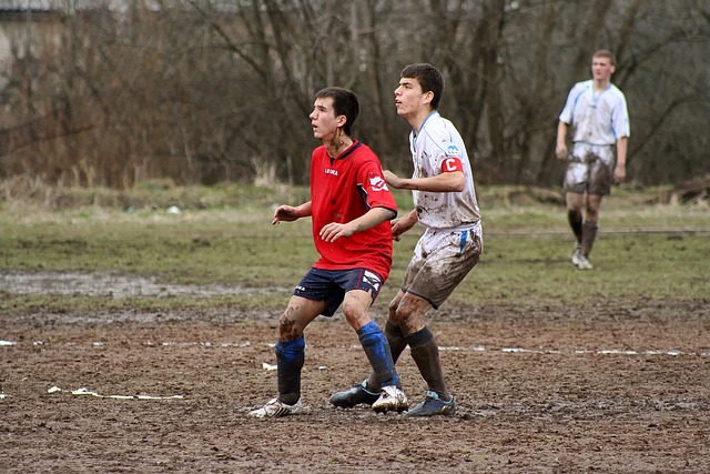 高新区在政 高新区在政