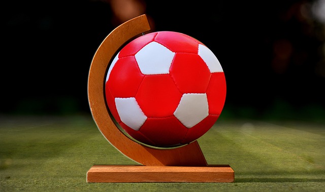 了川崎前锋 了川崎前锋